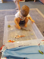 sensory play